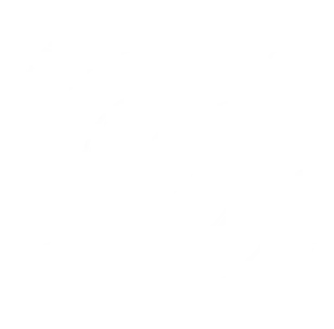 לוגו נוטריון אונליין